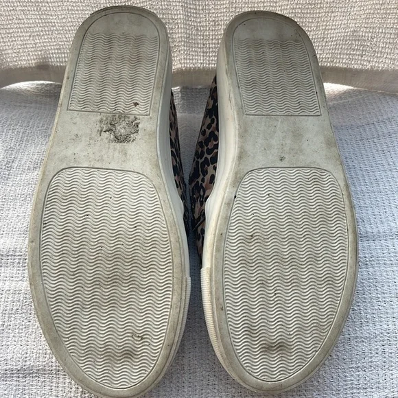 Leopard Steve Madden - Picture 3 of 3